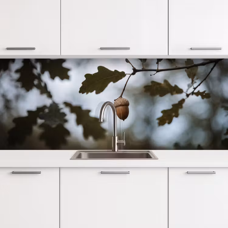 Keuken achterwand - Eikel - Eikenblad - Bos - Herfst - Natuur — 4