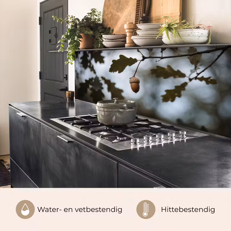 Keuken achterwand - Eikel - Eikenblad - Bos - Herfst - Natuur — 5