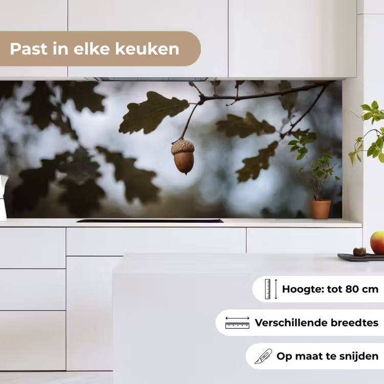 Keuken achterwand - Eikel - Eikenblad - Bos - Herfst - Natuur — 7