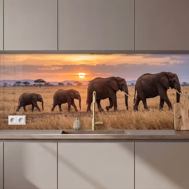 Keuken achterwand - Olifanten - Savanne - Zonsondergang - Afrika - Warm — 1