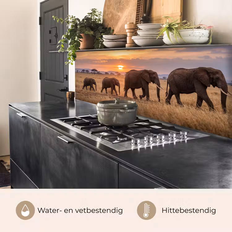 Keuken achterwand - Olifanten - Savanne - Zonsondergang - Afrika - Warm — 5