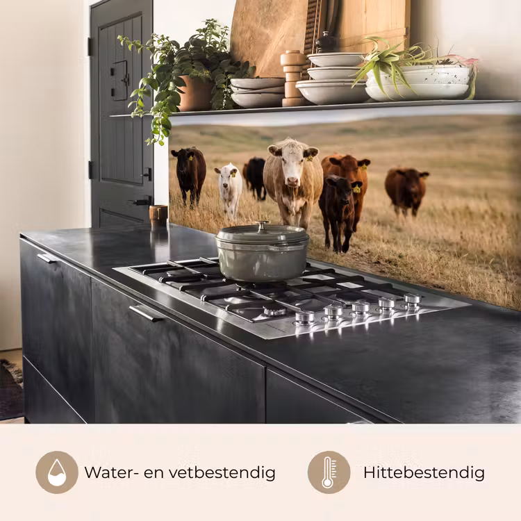Keuken achterwand - Runderen - Kudde - Landschap - Weide - Rustig — 5