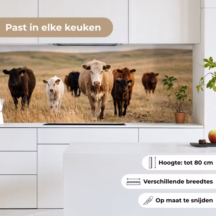 Keuken achterwand - Runderen - Kudde - Landschap - Weide - Rustig — 7