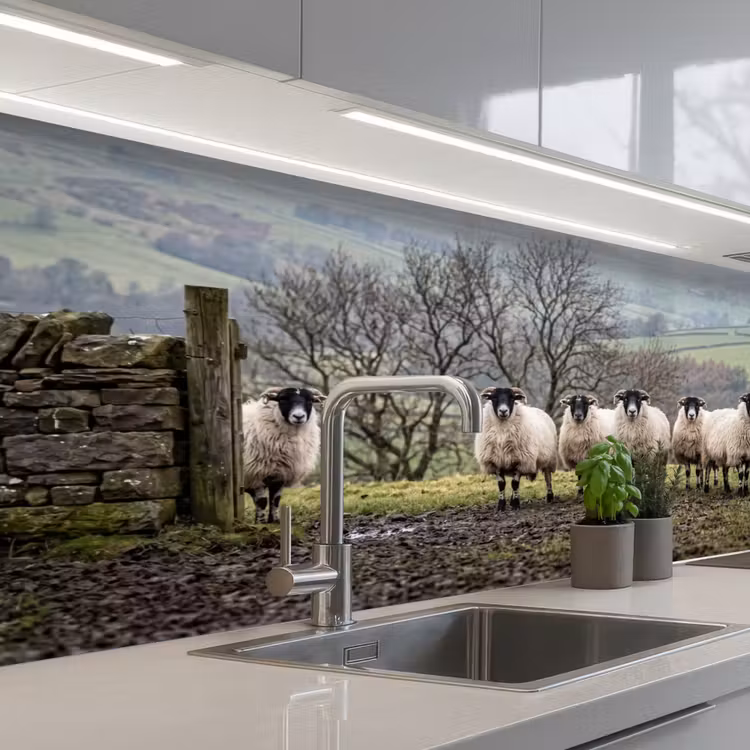 Keuken achterwand - Schapen - Rij - Weide - Dieren - Platteland — 2