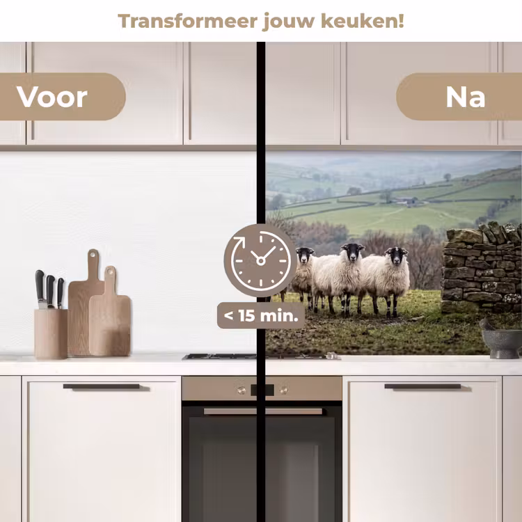 Keuken achterwand - Schapen - Rij - Weide - Dieren - Platteland — 3