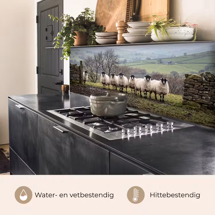 Keuken achterwand - Schapen - Rij - Weide - Dieren - Platteland — 5