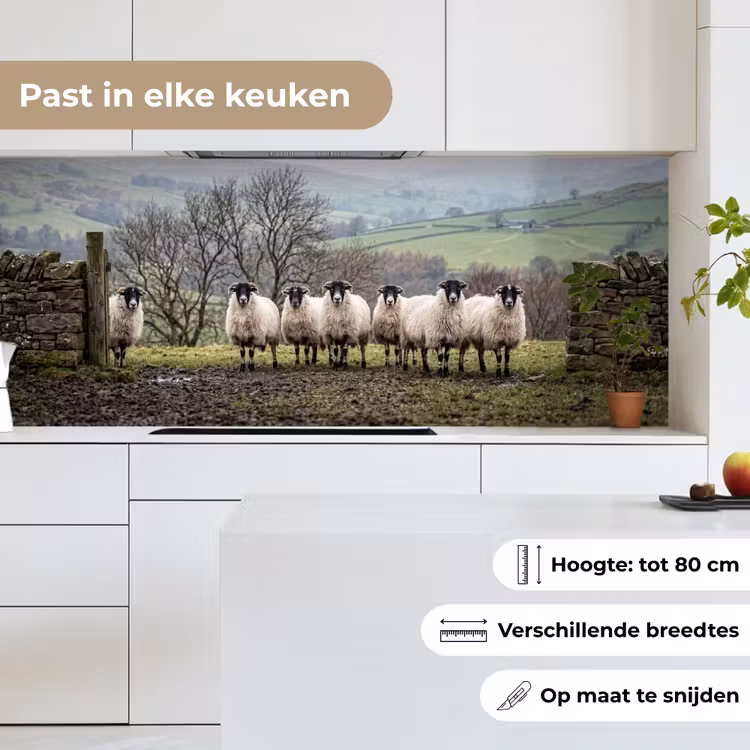 Keuken achterwand - Schapen - Rij - Weide - Dieren - Platteland — 7