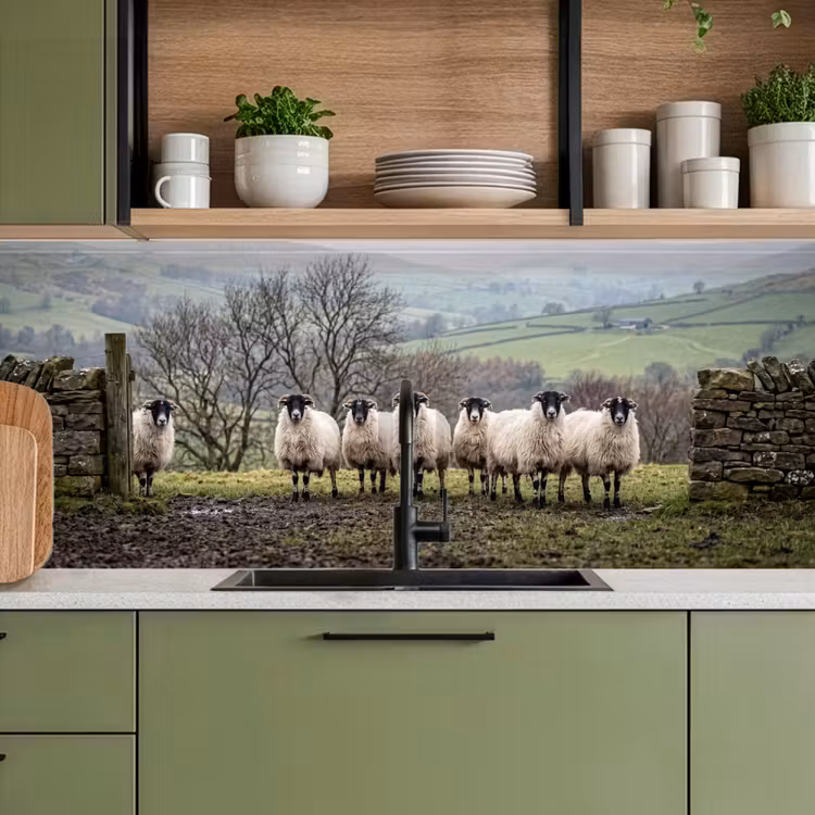 Keuken achterwand - Schapen - Rij - Weide - Dieren - Platteland — 8