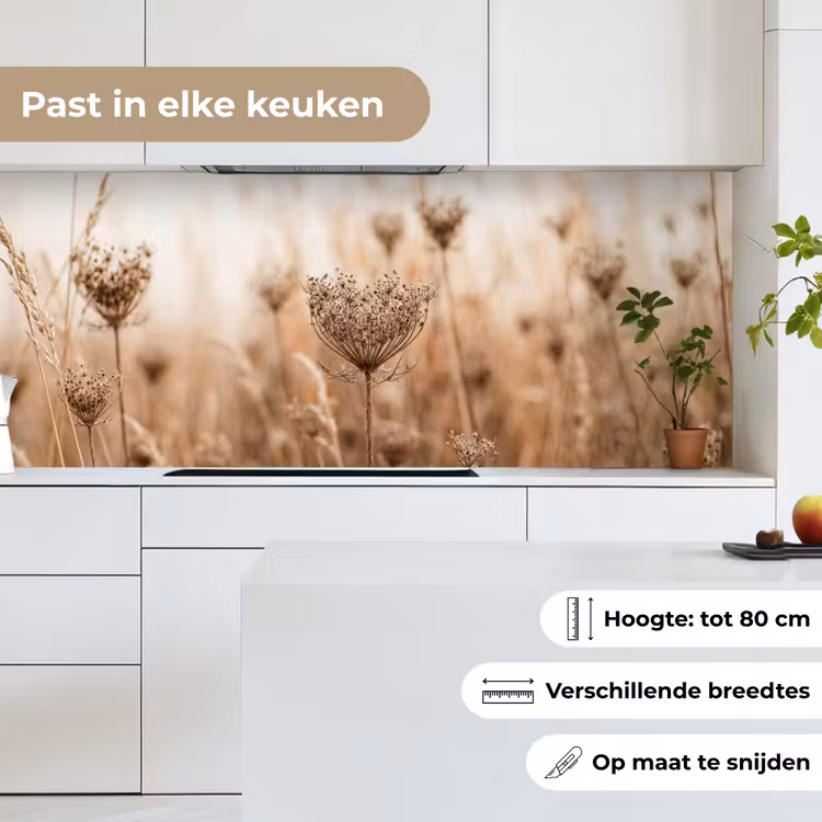 Keuken achterwand - Schermbloem - Droogbloem - Winter - Beige - Minimalistisch — 7