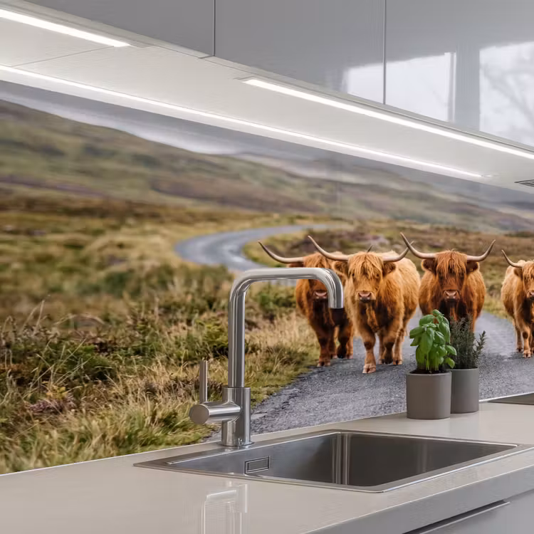 Keuken achterwand - Schotse Hooglanders - Weg - Landschap - Kudde — 2