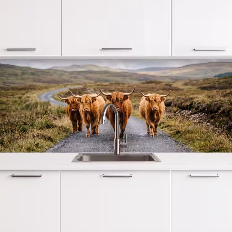 Keuken achterwand - Schotse Hooglanders - Weg - Landschap - Kudde — 4