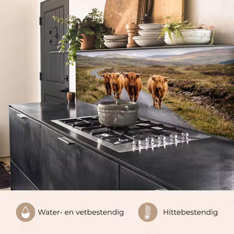 Keuken achterwand - Schotse Hooglanders - Weg - Landschap - Kudde — 5