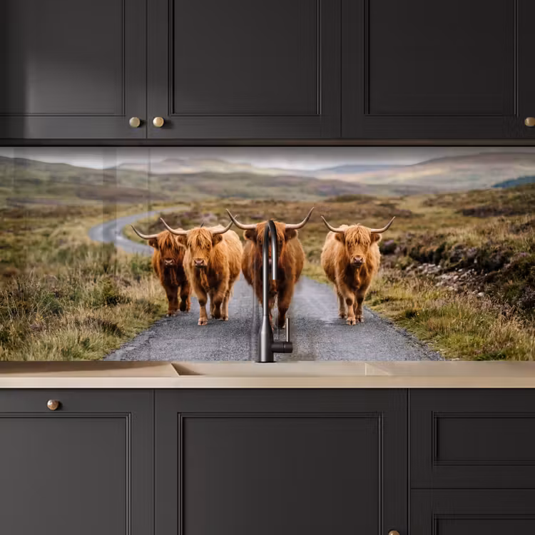 Keuken achterwand - Schotse Hooglanders - Weg - Landschap - Kudde — 6