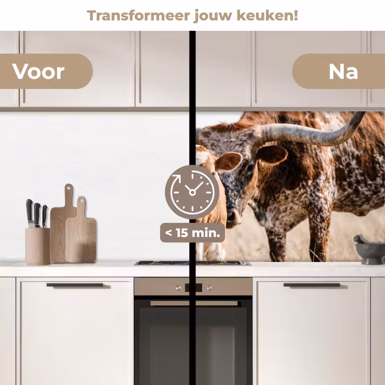 Keuken achterwand - Texas Longhorn - Kalf - Weide - Dieren — 3