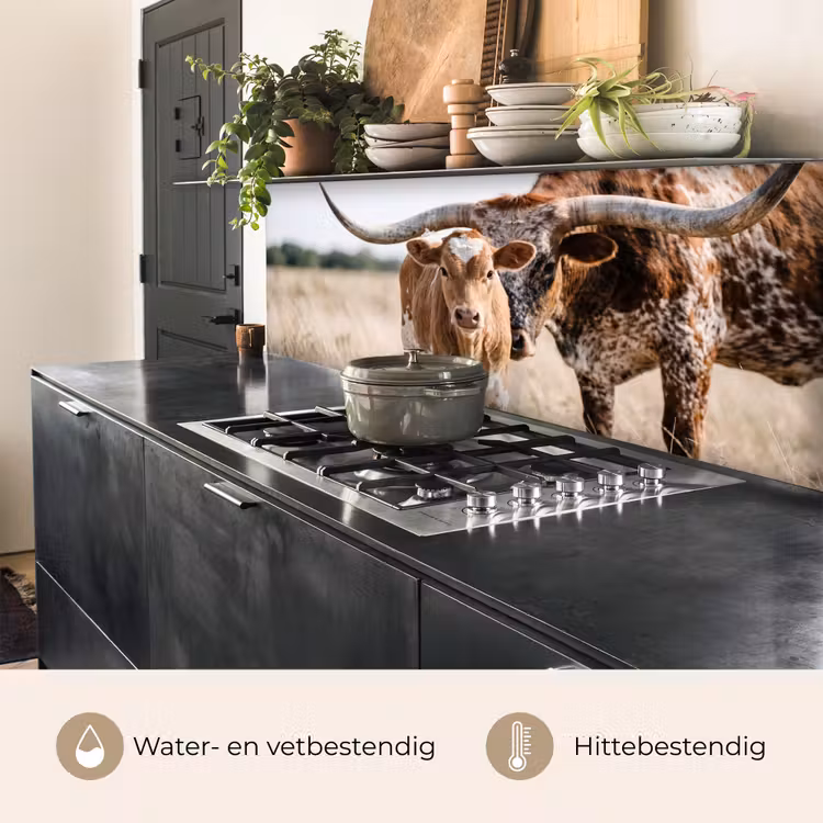 Keuken achterwand - Texas Longhorn - Kalf - Weide - Dieren — 5