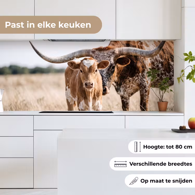 Keuken achterwand - Texas Longhorn - Kalf - Weide - Dieren — 7