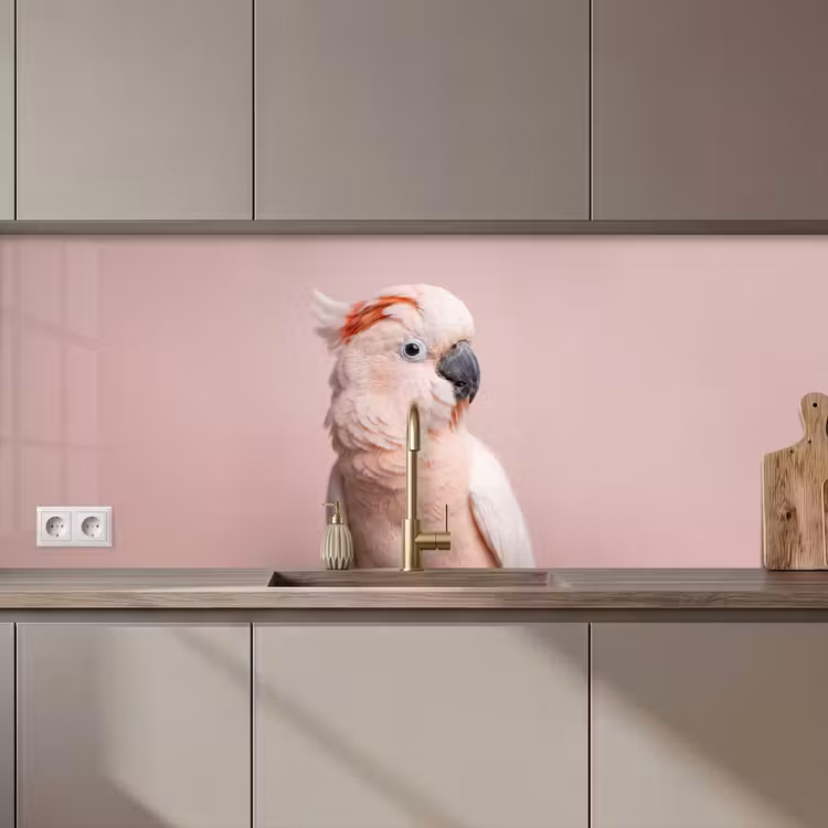 Keuken achterwand - Kaketoe - Portret - Roze — 1