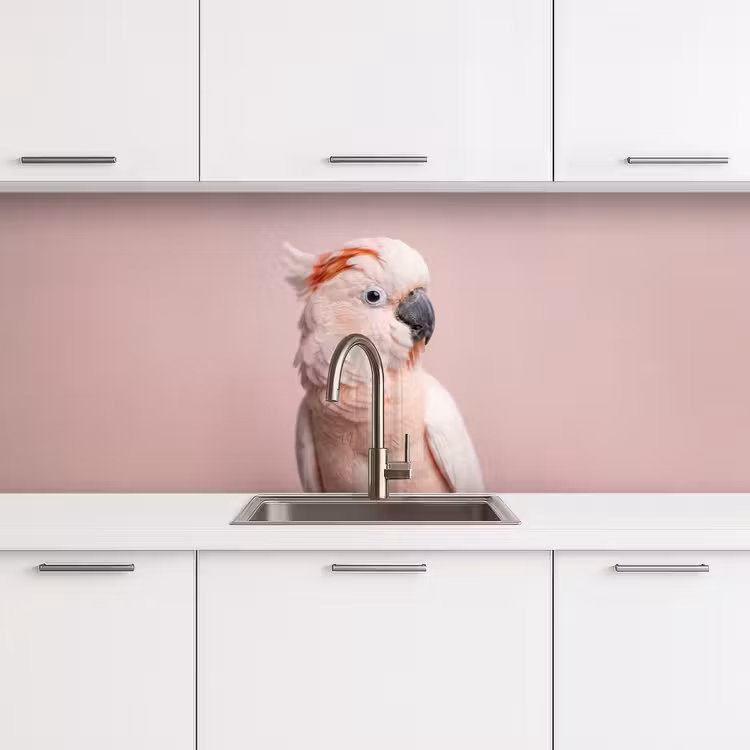 Keuken achterwand - Kaketoe - Portret - Roze — 4