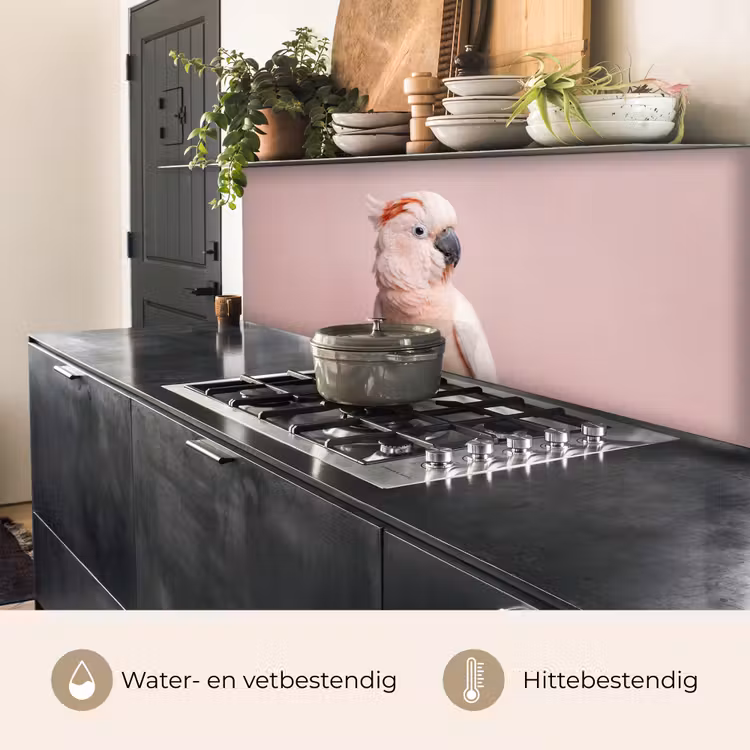 Keuken achterwand - Kaketoe - Portret - Roze — 5