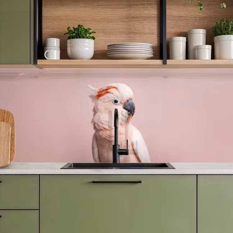 Keuken achterwand - Kaketoe - Portret - Roze — 8