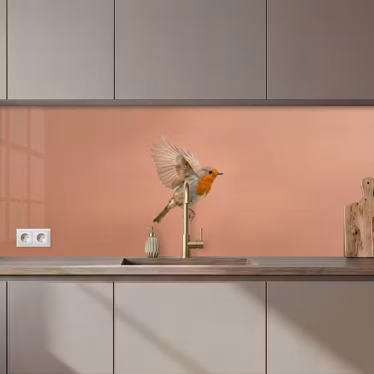 Keuken achterwand - Roodborst - Natuur - Roze — 1