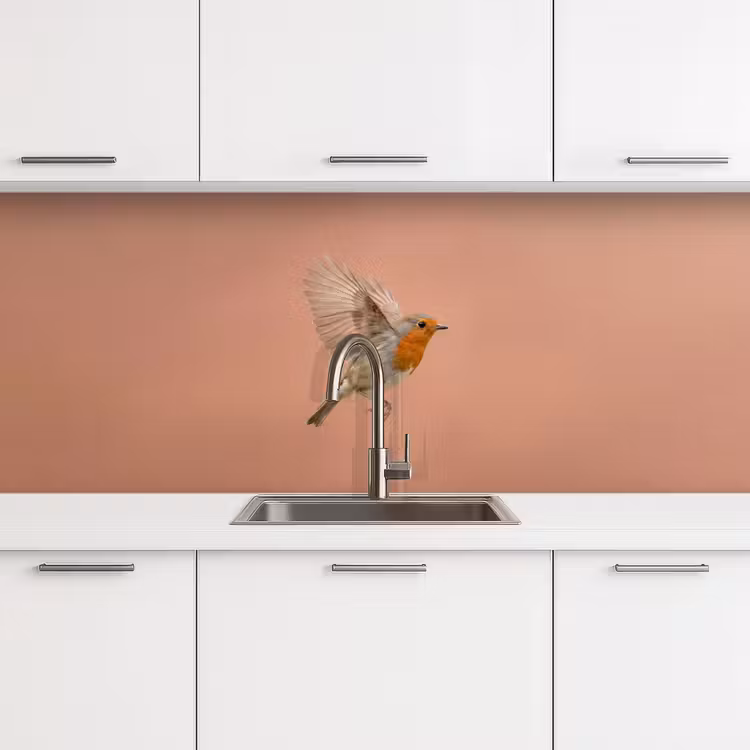 Keuken achterwand - Roodborst - Natuur - Roze — 4