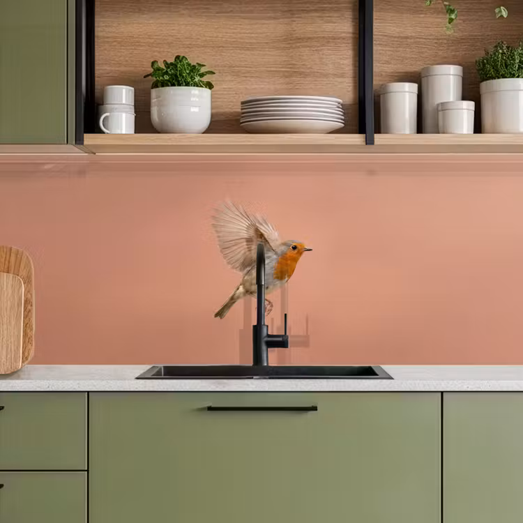 Keuken achterwand - Roodborst - Natuur - Roze — 8