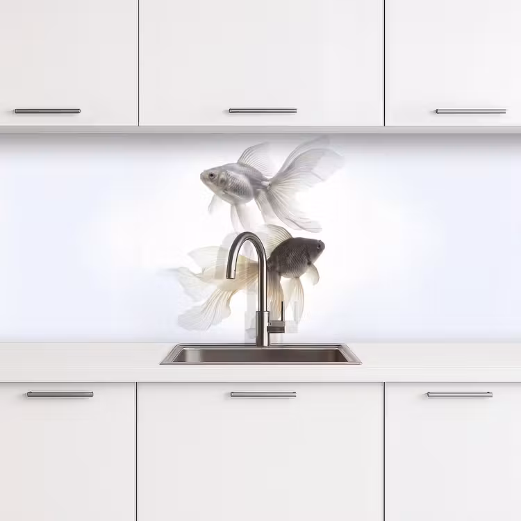 Keuken achterwand - Goudvissen - Modern - Wit — 4