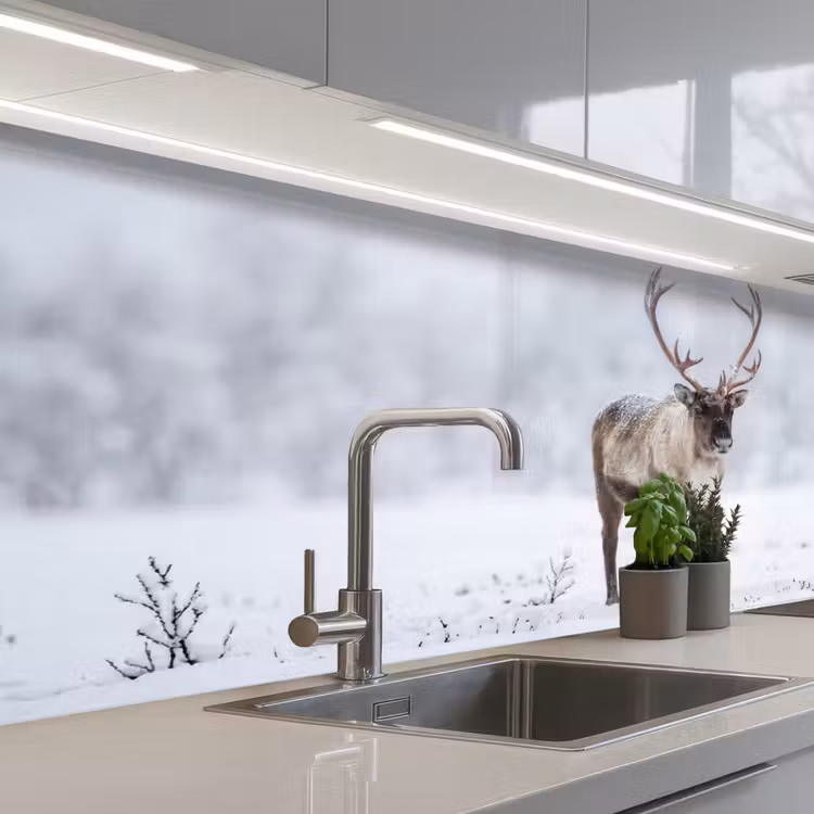 Keuken achterwand - Rendier - Gewei - Toendra - Sneeuw - Wild — 2