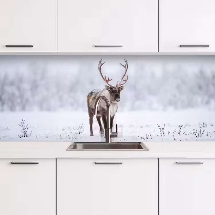 Keuken achterwand - Rendier - Gewei - Toendra - Sneeuw - Wild — 4