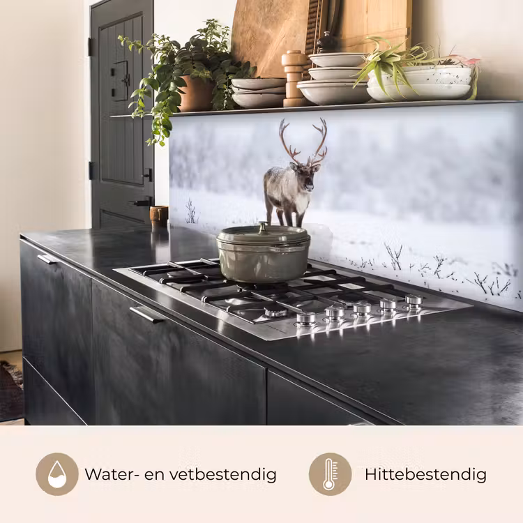 Keuken achterwand - Rendier - Gewei - Toendra - Sneeuw - Wild — 5
