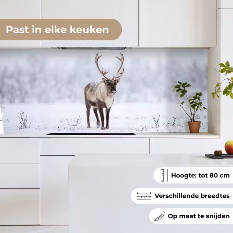 Keuken achterwand - Rendier - Gewei - Toendra - Sneeuw - Wild — 7