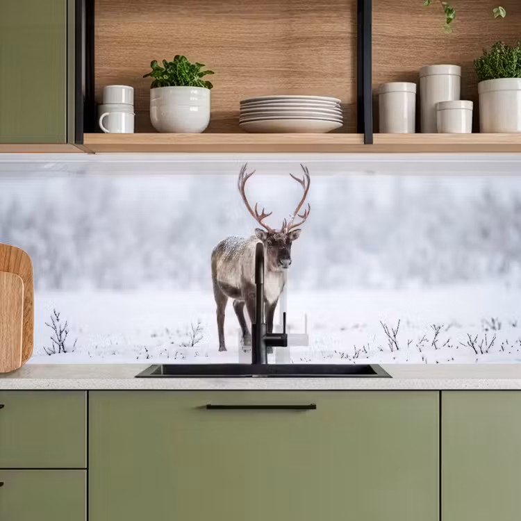 Keuken achterwand - Rendier - Gewei - Toendra - Sneeuw - Wild — 8