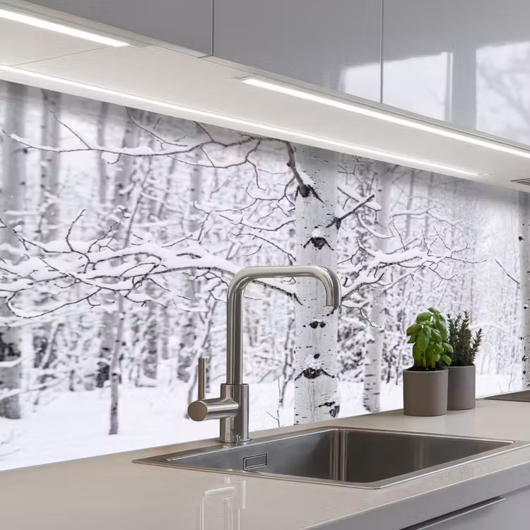 Keuken achterwand - Berkenbomen - Sneeuw - Winter - Bos - Wit — 2