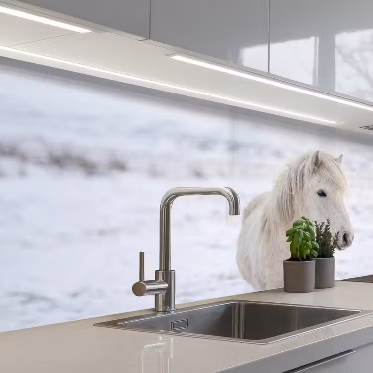 Keuken achterwand - Paard - Kop - Winter - Dieren - Wit — 2
