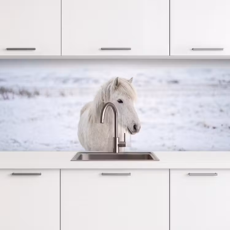 Keuken achterwand - Paard - Kop - Winter - Dieren - Wit — 4
