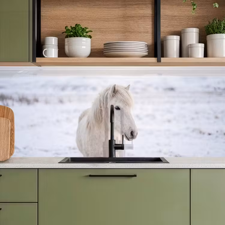 Keuken achterwand - Paard - Kop - Winter - Dieren - Wit — 8