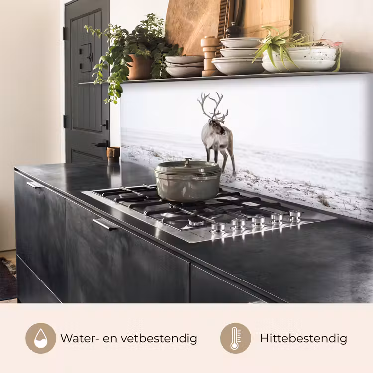 Keuken achterwand - Rendier - Gewei - Sneeuw - Winter — 5