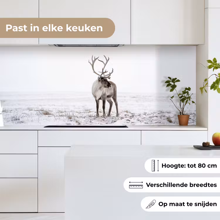 Keuken achterwand - Rendier - Gewei - Sneeuw - Winter — 7