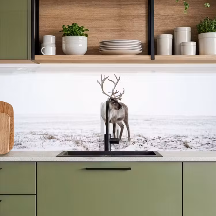 Keuken achterwand - Rendier - Gewei - Sneeuw - Winter — 8