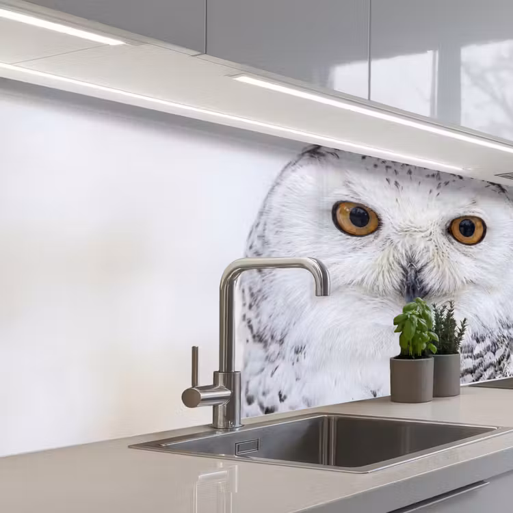 Keuken achterwand - Sneeuwuil - Oog - Wildlife - Wit — 2