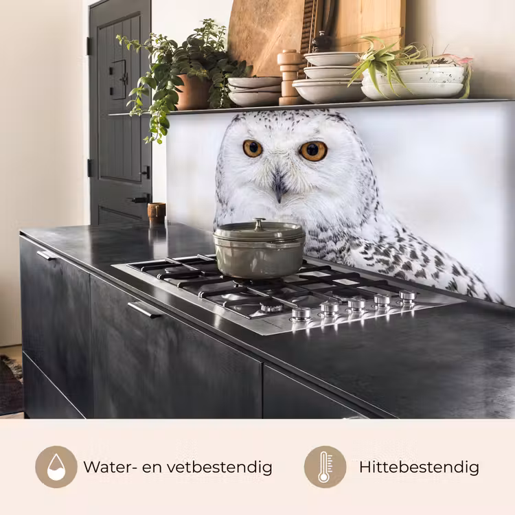 Keuken achterwand - Sneeuwuil - Oog - Wildlife - Wit — 5