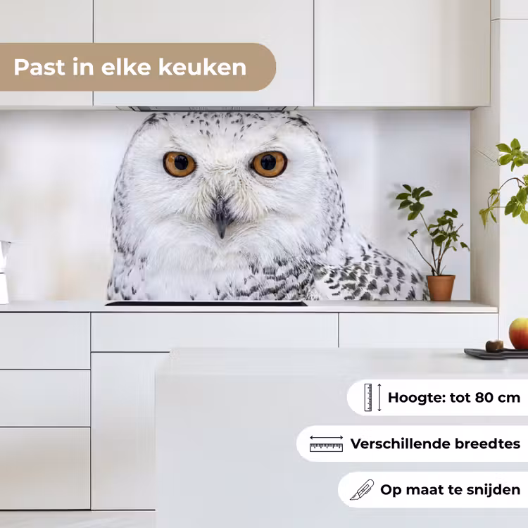 Keuken achterwand - Sneeuwuil - Oog - Wildlife - Wit — 7