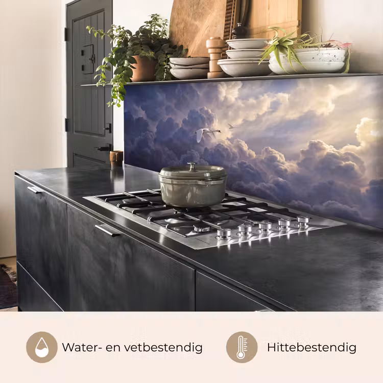 Keuken achterwand - Vogel - Vliegend - Natuur - Wit - Wolken — 5