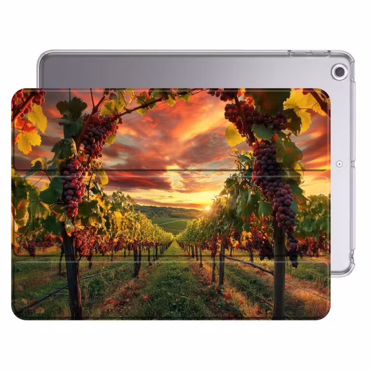 iPad hoes - Wijngaard - Druiven - Zonsondergang — 1
