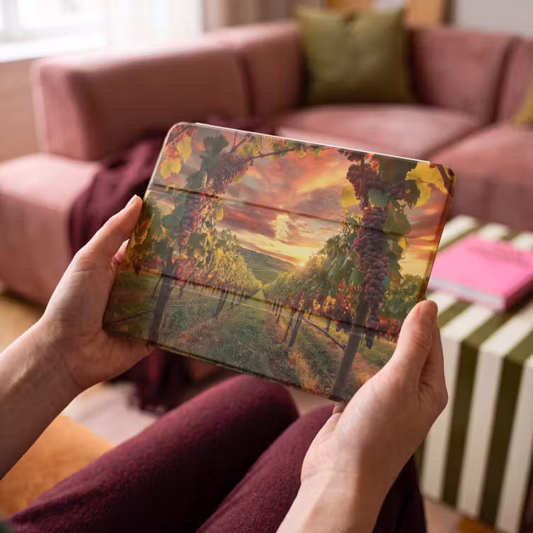 iPad hoes - Wijngaard - Druiven - Zonsondergang — 3