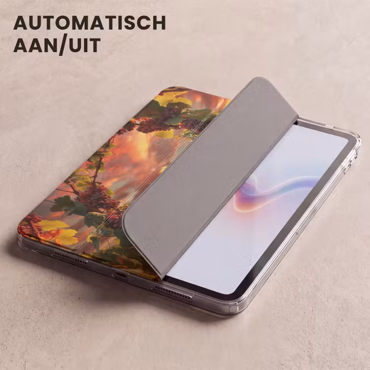 iPad hoes - Wijngaard - Druiven - Zonsondergang — 4