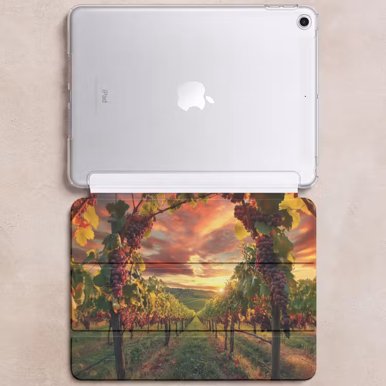 iPad hoes - Wijngaard - Druiven - Zonsondergang — 6