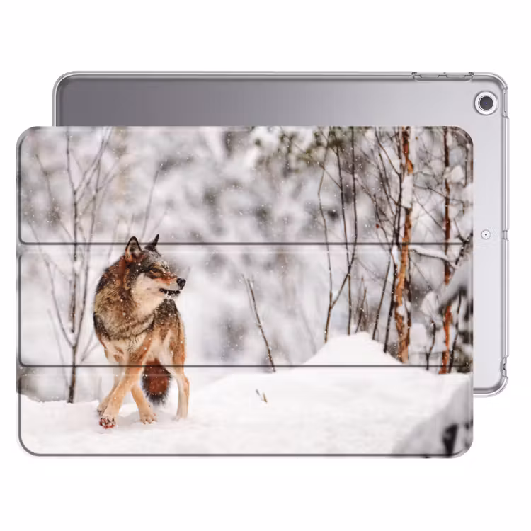 iPad hoes - Wolf - Winter - Sneeuw - Natuur - Dieren — 1