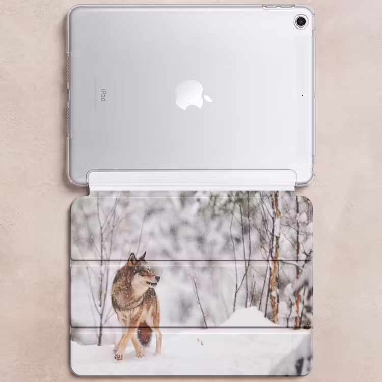 iPad hoes - Wolf - Winter - Sneeuw - Natuur - Dieren — 6